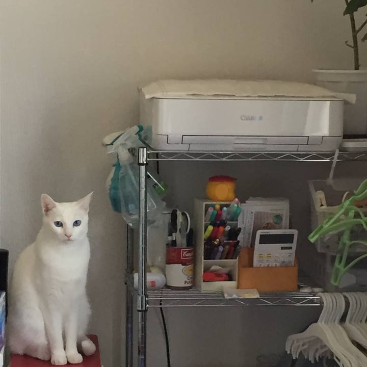 E62265cc 1277 4000 956b d05a1499098a