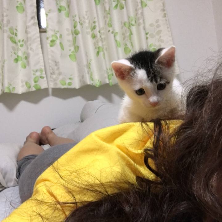 E622a5eb 1cbc 4d4b 9113 008ada8fcfe8