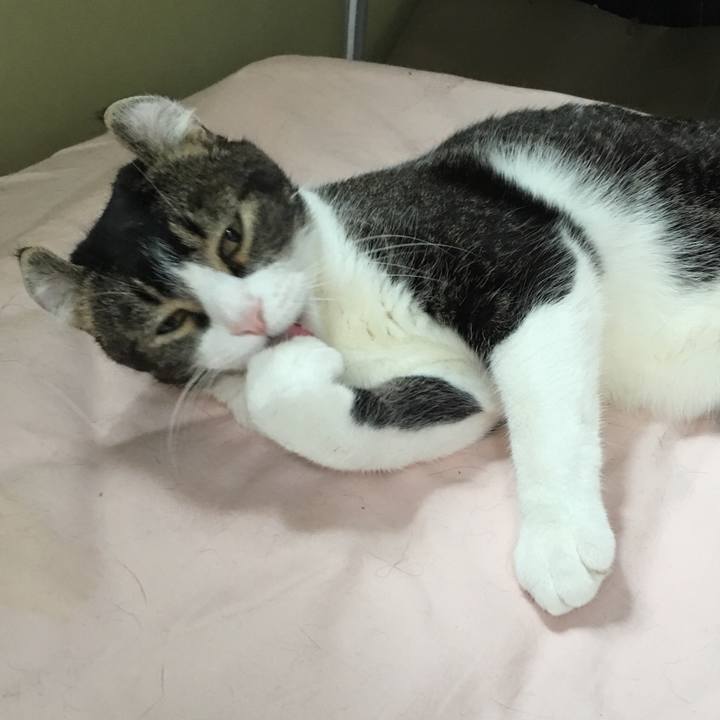 E622ec79 aa75 49b0 a62e b8ddf58c3bbf