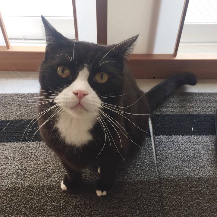 E624e0cf 4d9f 4623 aaf8 14e75106bd81