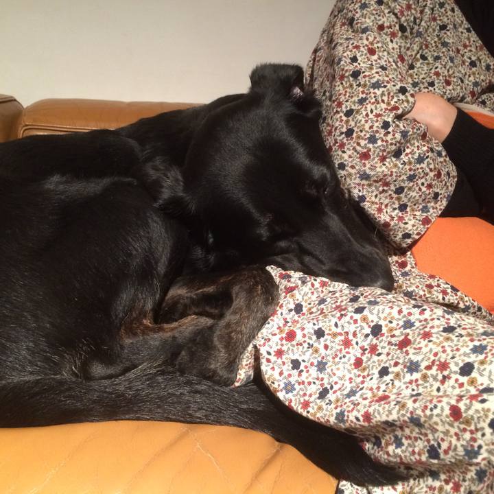 E624febb e37e 4406 ae69 933bf6b845fc