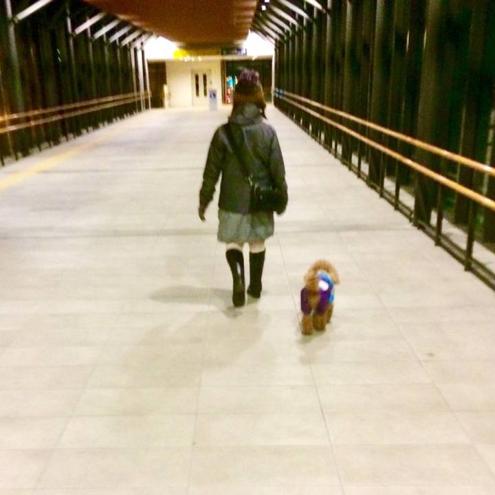 E62534a2 e2ce 4b66 90f6 773d4e278f60