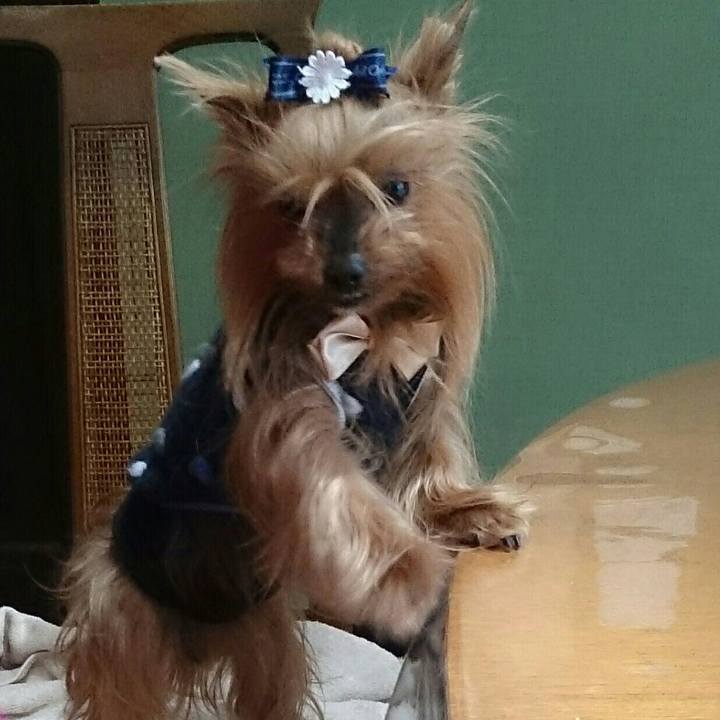 E62567a1 eb5c 46cf 9802 4cdf2c4e67bb