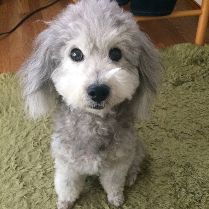 E6257a7b 45c9 4fc0 b60b e9c3d5609d4b