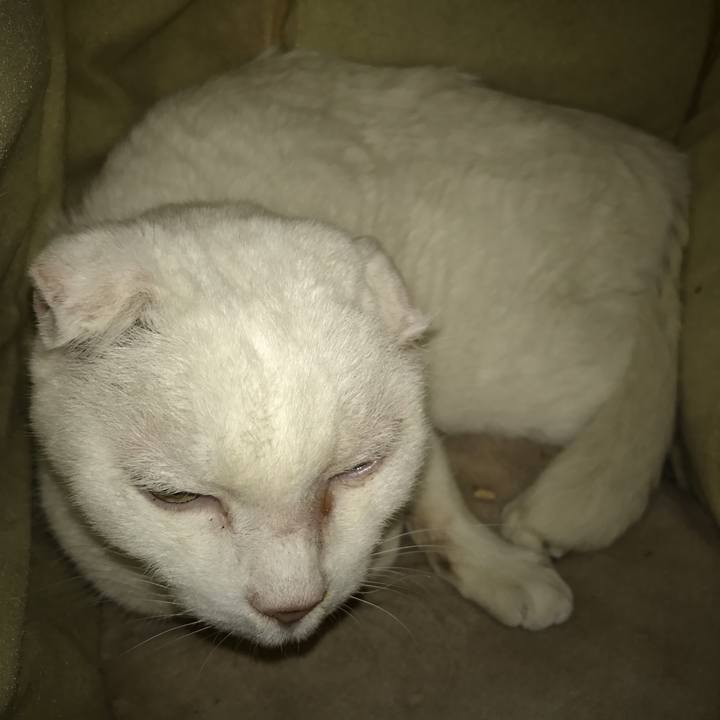 E6258705 d5e8 40b6 ad55 45f6b20f28ef