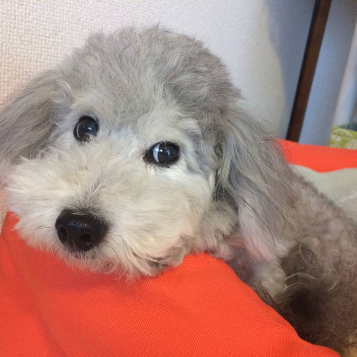 E625a331 8294 4fe4 bf6c 24dec9f300f1