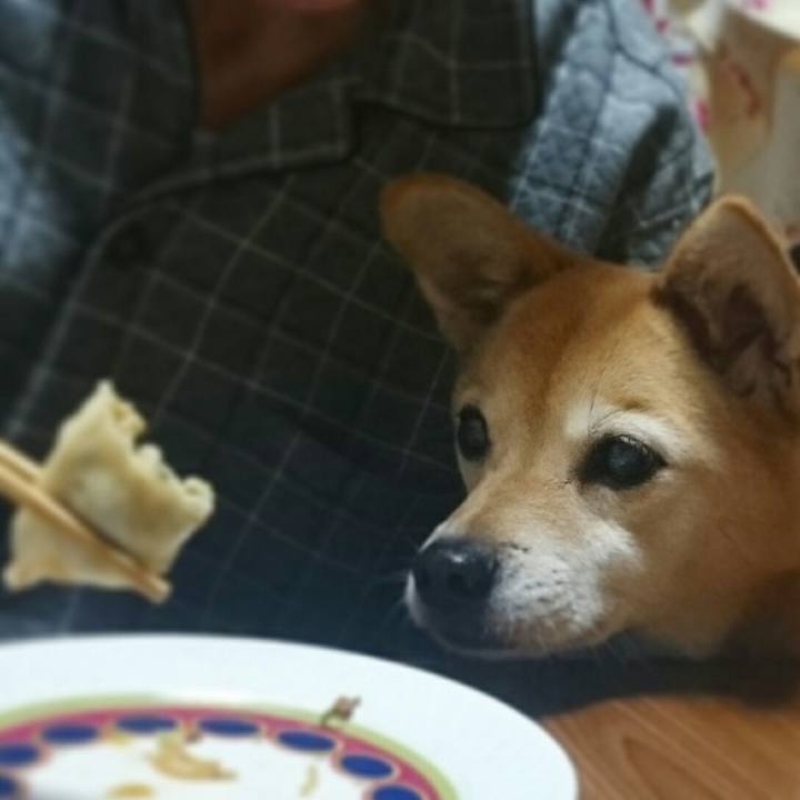 E625bacf 02b8 46e4 8cb7 dbd4f0de35dd