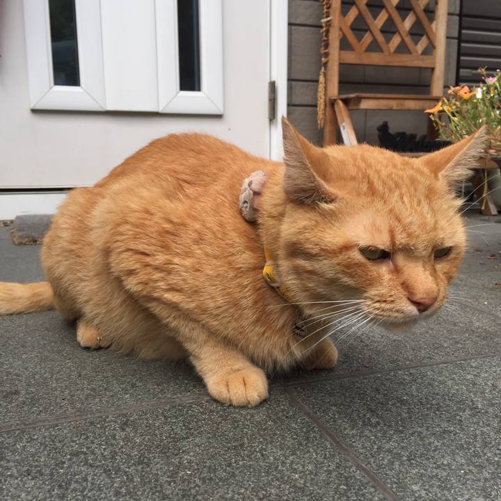 E626d8de f63e 478a 8591 cc681bee80d9