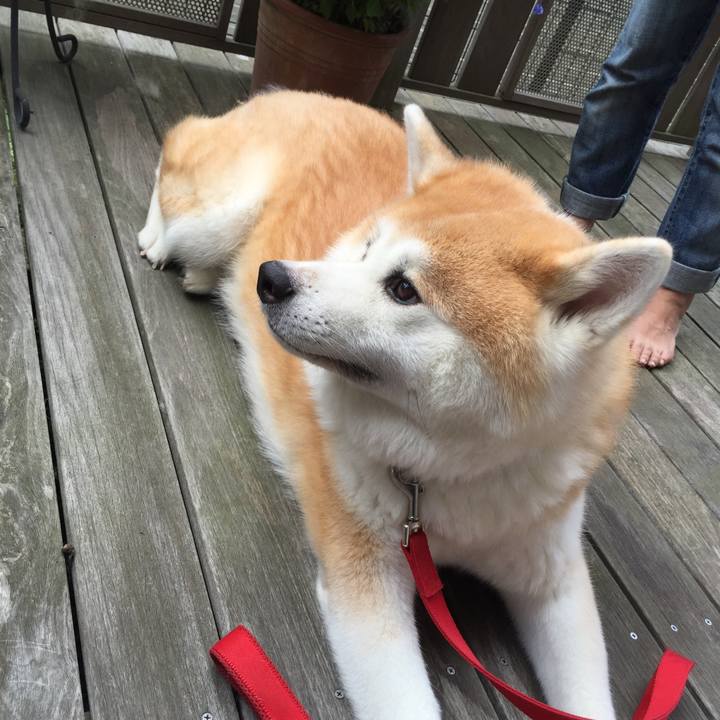 E6277f87 f436 4fa7 b141 878729ac2a18