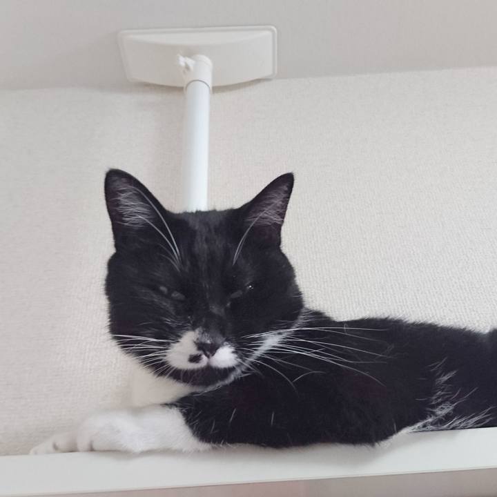 E627d508 88ae 46ce a1d1 833ec5617a62