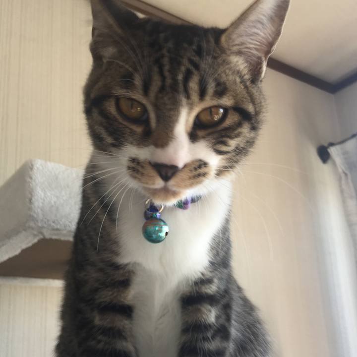 E627d7d1 cab1 45e6 9242 b4eae090e49d