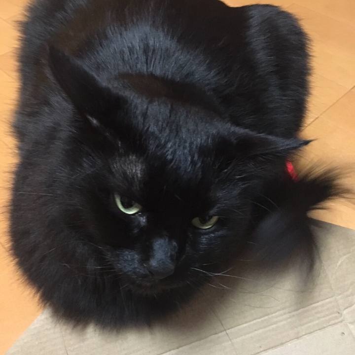 E627dc53 6e3c 43fe aa32 b885f4255a60