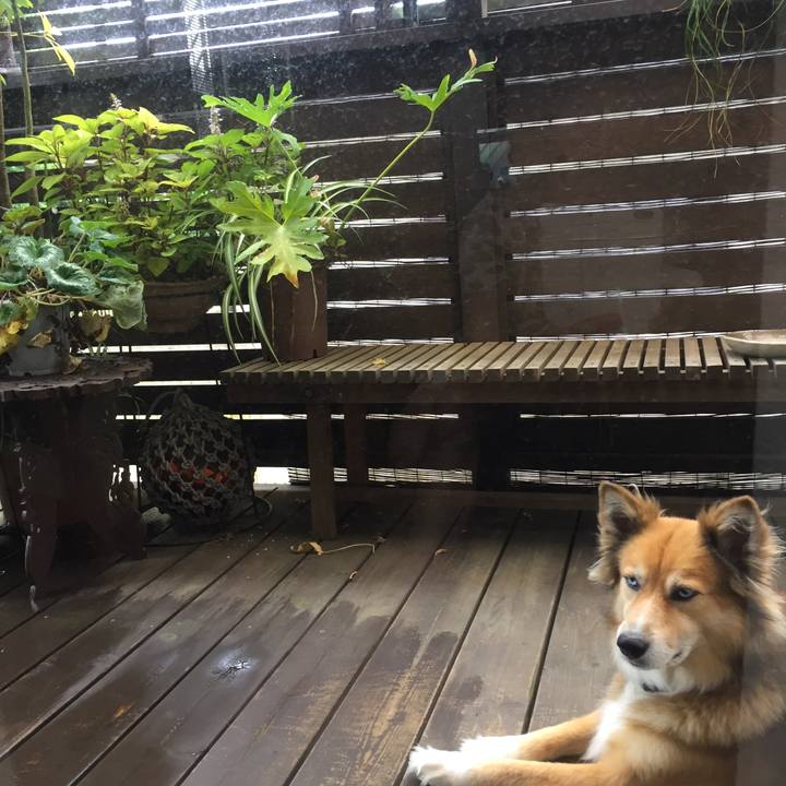 E62927d5 fcf4 4ac8 bd99 895639faf1de