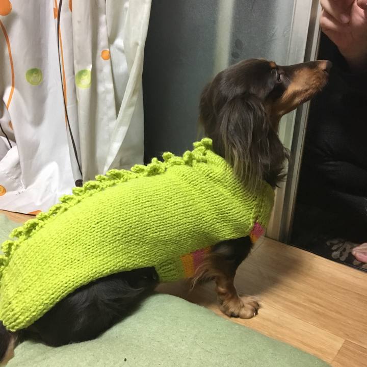 E6294873 699a 4417 bd95 4aadde1de85f