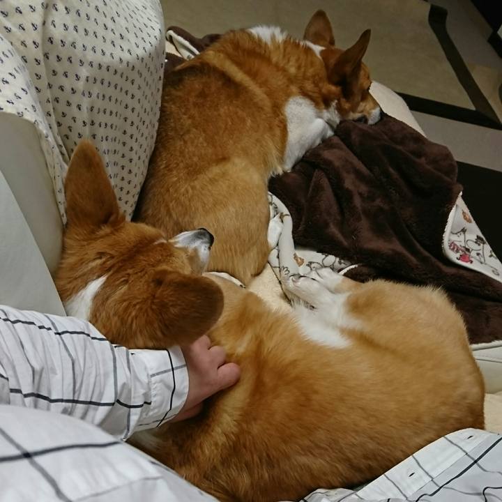 E6294fa6 1cc8 4eec 9ba0 3ef23d89a4c9