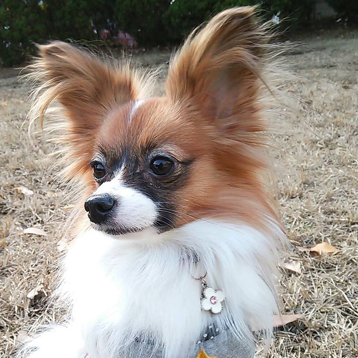 E629e17c 89bc 4dfa a2f2 564672547c7b