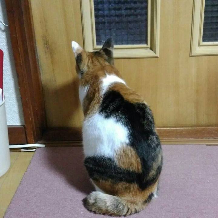 E62a3530 4193 4b53 a949 7da7f83e3bc9