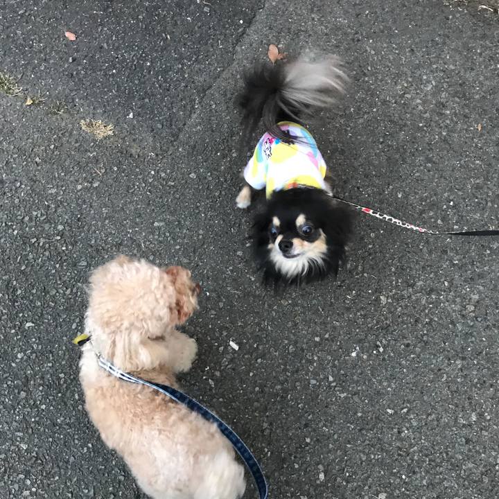 E62a3fa8 1ef3 4f0a 9f61 6470570e0bc4