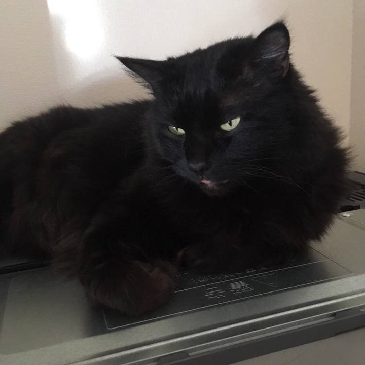 E62a8cd6 e135 4a9d a7ee 19dc92150ace