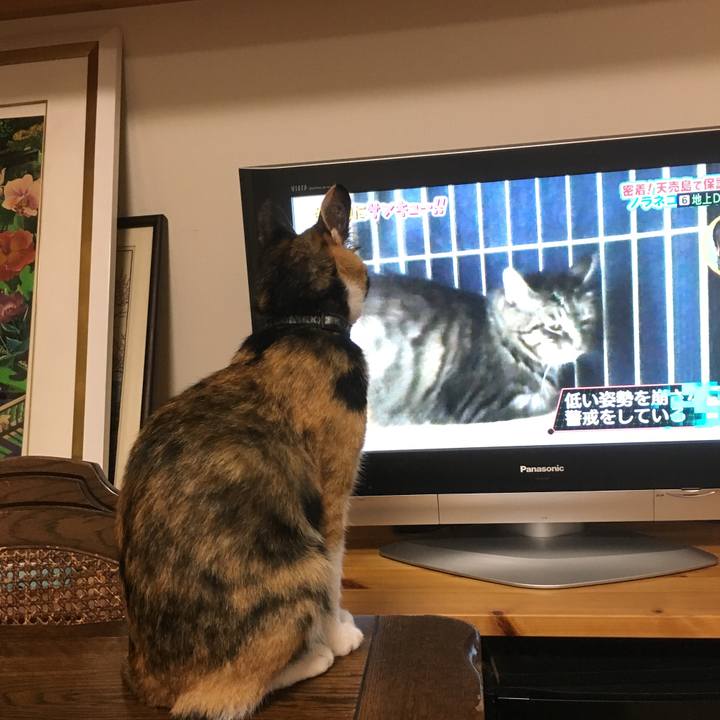 E62afd52 34bf 4445 930c cd9a40e35e66