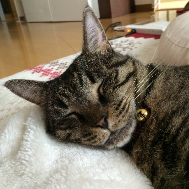 E62bad9b bd5f 46a4 9f40 077a13803c09