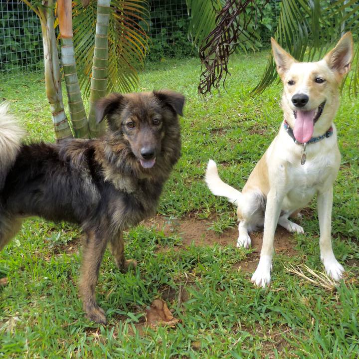 E62bb569 f114 4670 8bfd 3a314bd2f2f9