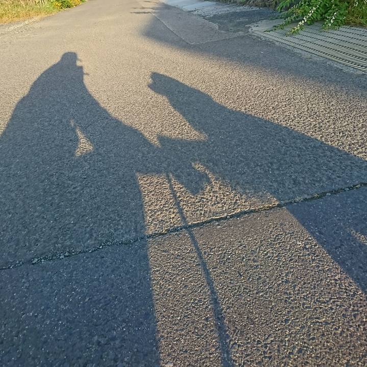 E62bc89b d1f2 4bd3 bda7 f50a37b86f64