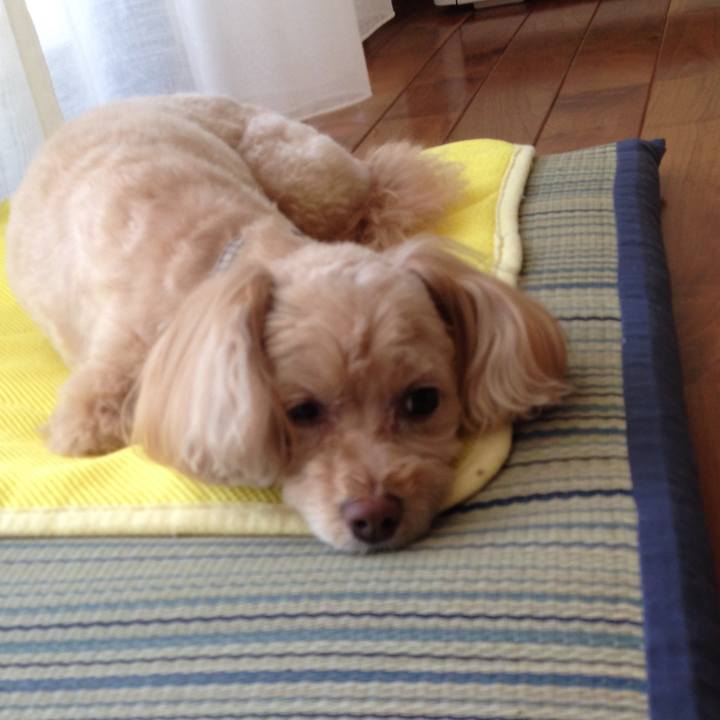 E62d0532 698a 4137 9a7c d7f8e1b9decc