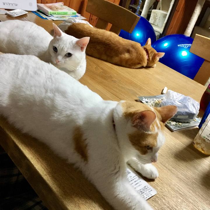 E62daad9 082f 42b5 8eb7 871931e76ced