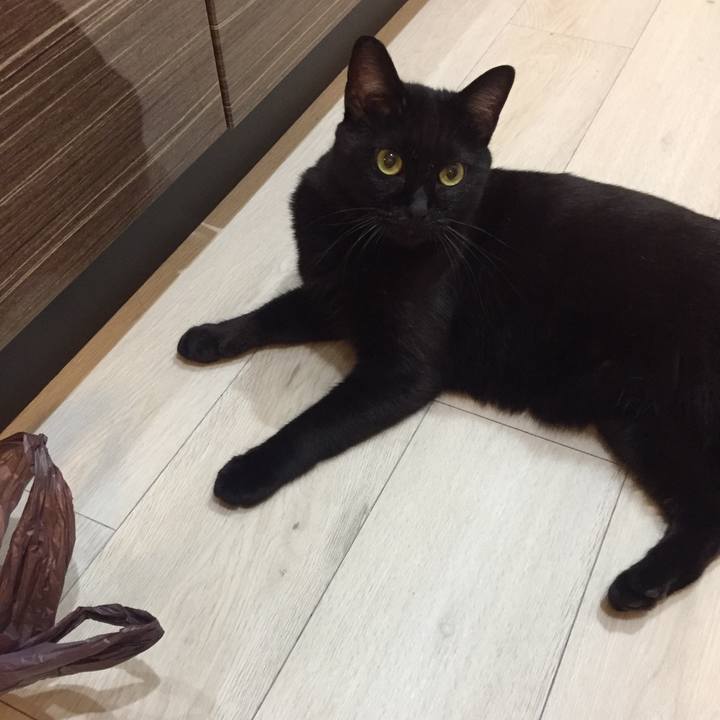 E62e3a49 cecc 4663 a15d 603cbd80c34e