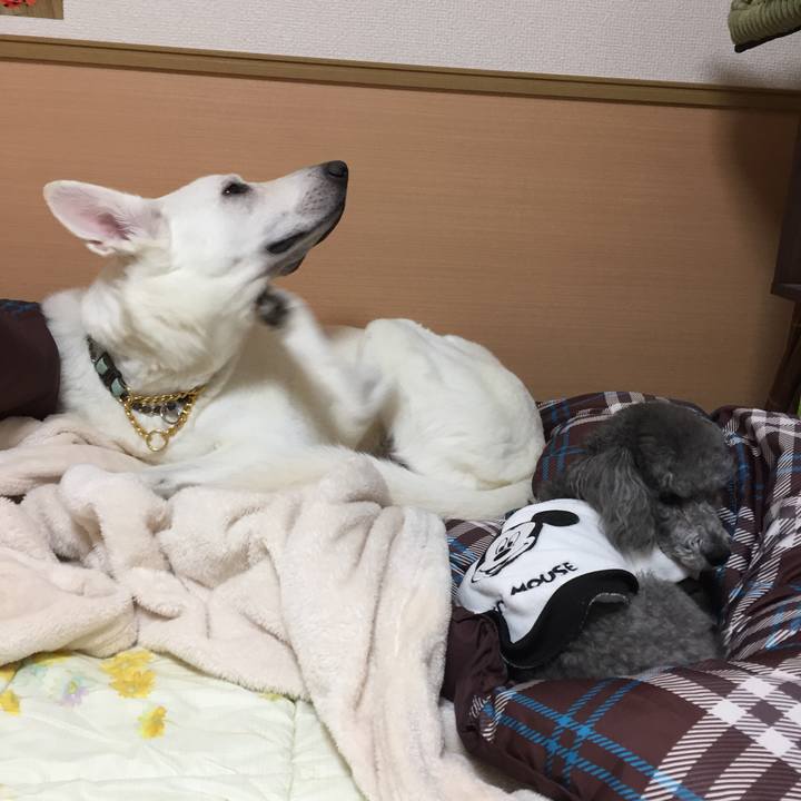 E62e4398 43c1 4a42 816c aafa48248e9c