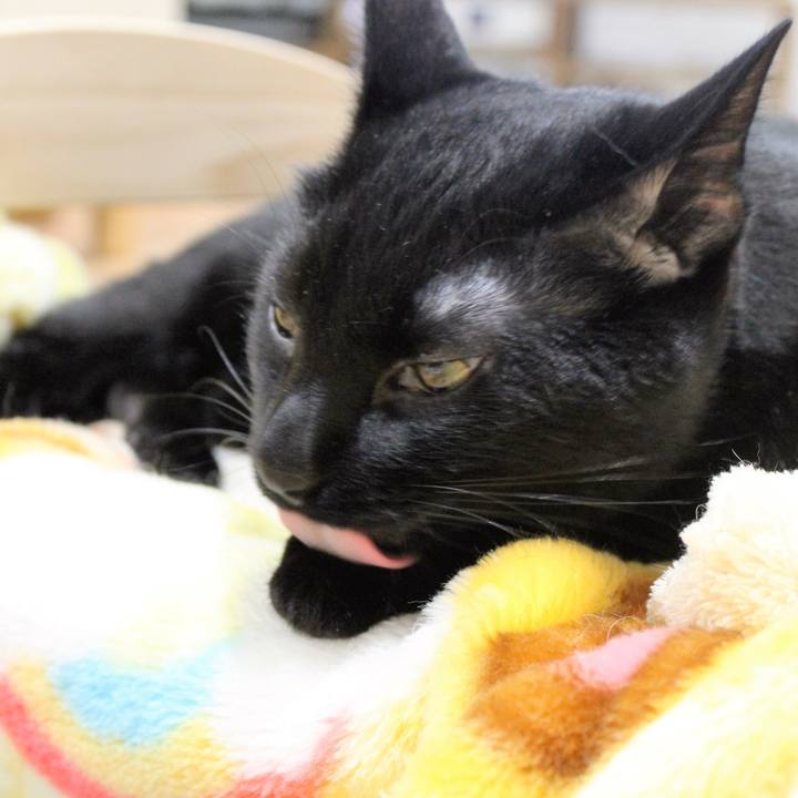 E62e5584 f005 4f4b af10 e0190f1cec02