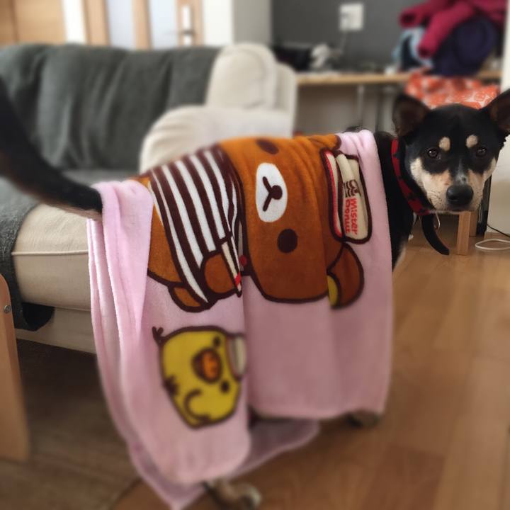 E62f90a6 4831 4d3d a53f c0a1259cf29a