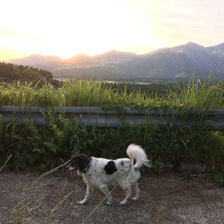 E6301047 7530 4c64 9e66 dd75094cd0c9