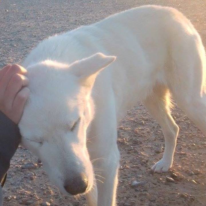 E6309827 bbad 430b b20e 0c544e82b6de