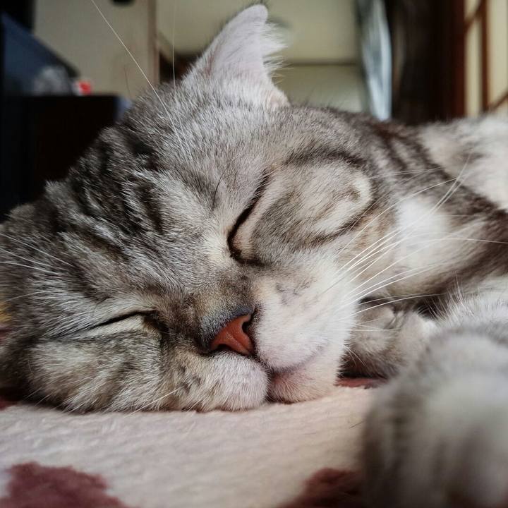 E6309cdd 3f2f 4aa9 aced c2736b1e7818