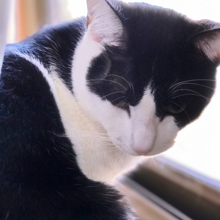 E630d350 e1f1 4887 8c62 3e797f3a93d7