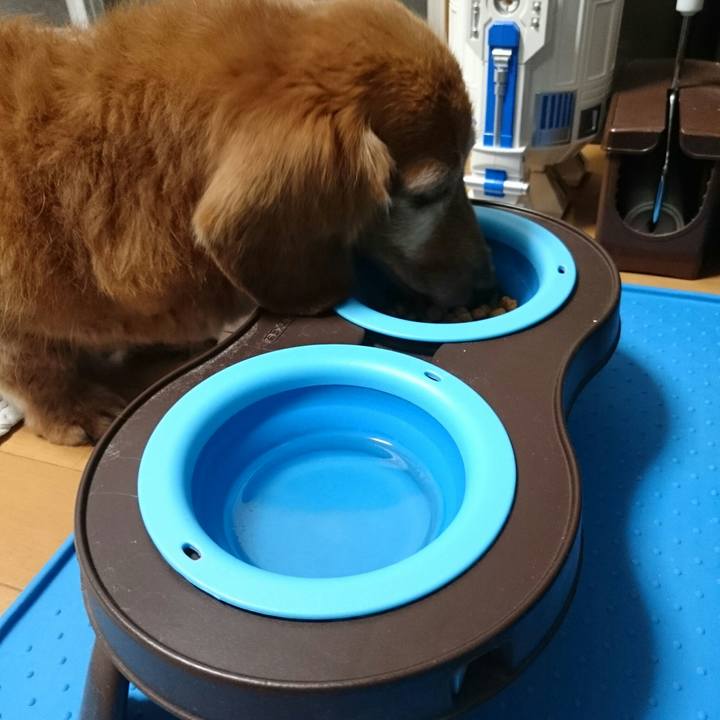 E63125ee e26f 46a4 ab2b a055e2341833