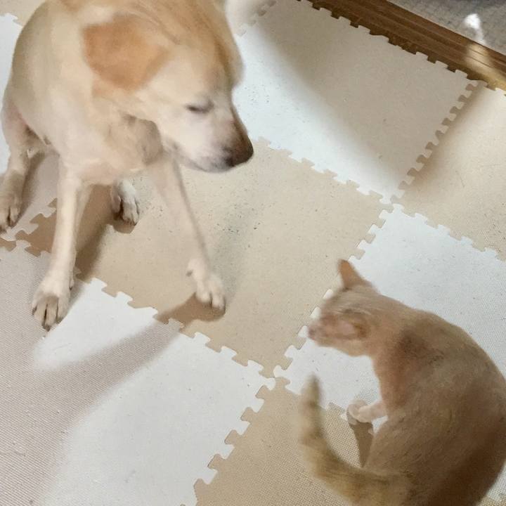 E6312888 b3ad 4280 9c90 8d024f1792b5