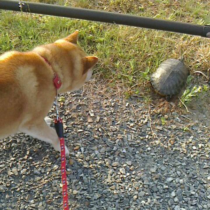 E631af56 9616 441c b8c9 301b4ddbb0f8