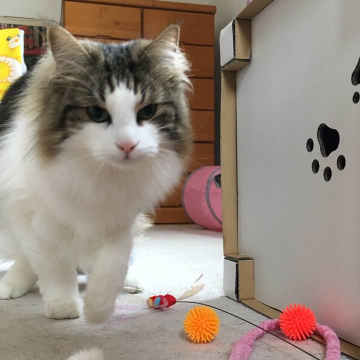 E6327144 104c 4b47 9b48 65c33982082c