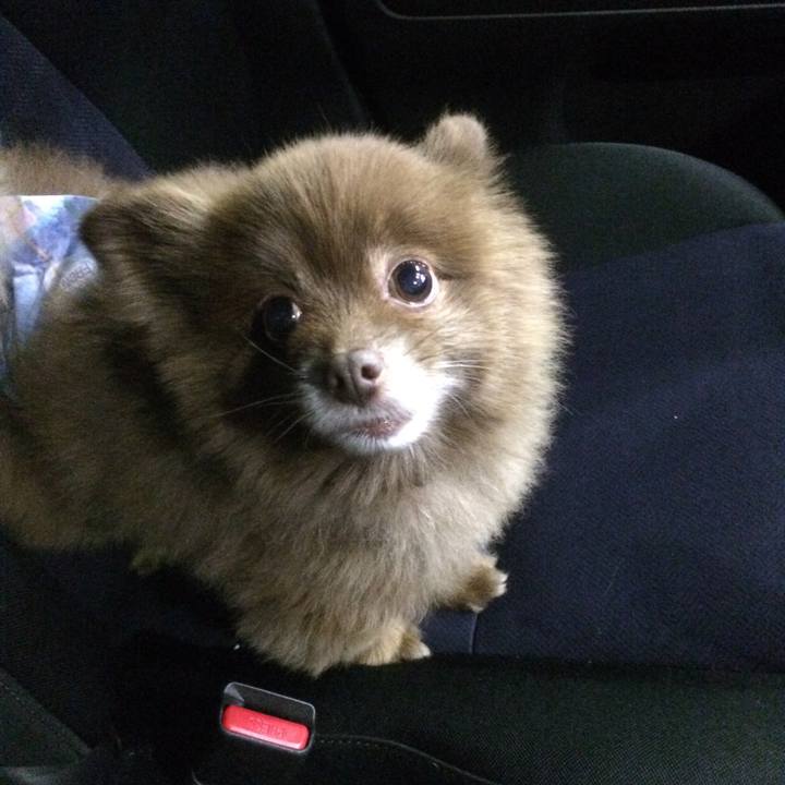 E63298ca 3a2e 4650 aaf2 63791e1624d5