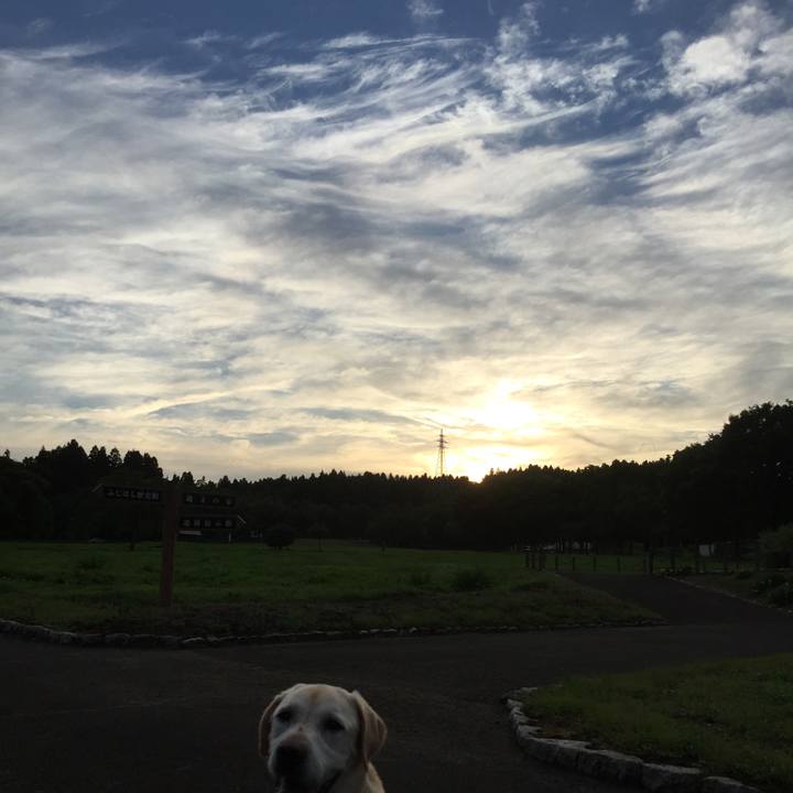 E633be67 5980 4af4 a9f3 852f34f6a815