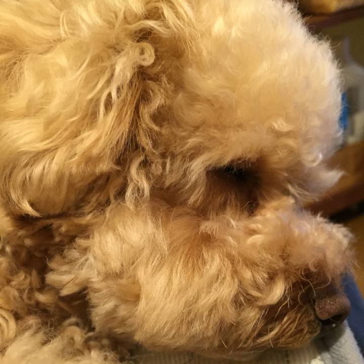 E633d2cd 3dd6 47a0 8c36 4a420a427550