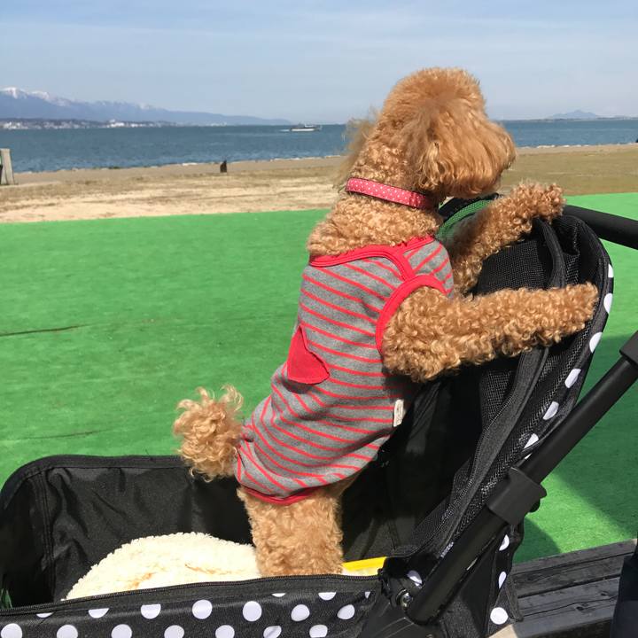 E634eb70 2884 4dea ba5e 389054ddc57d