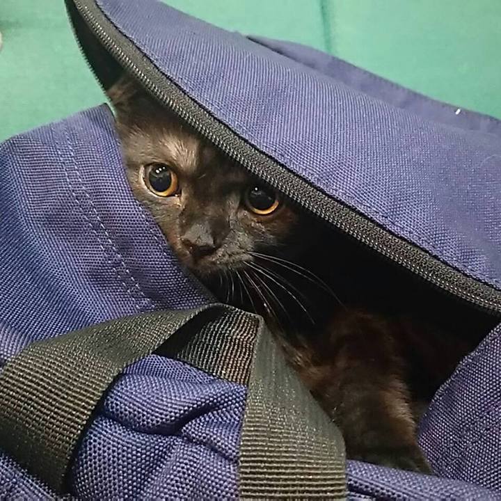 E6364ced d50b 4f96 befa 8d7d7a4f1b04