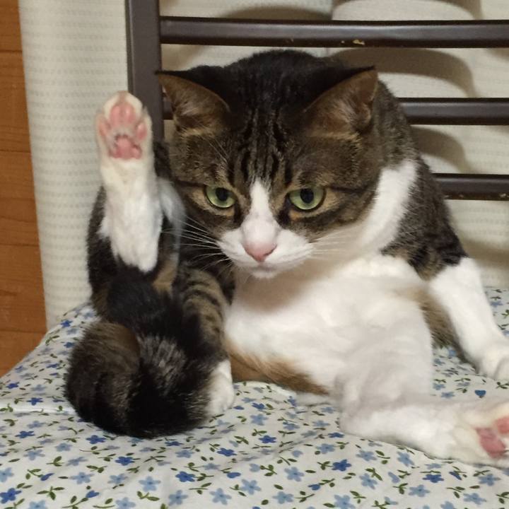 E636ba1b 9e61 4b02 836f a249442cc13a