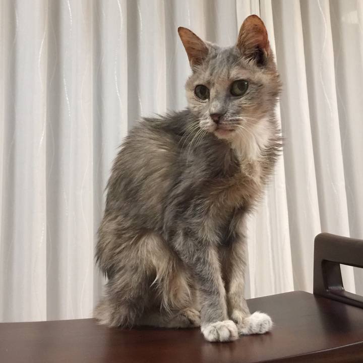 E636e06f 5335 43e8 aa18 53bd011b39b4