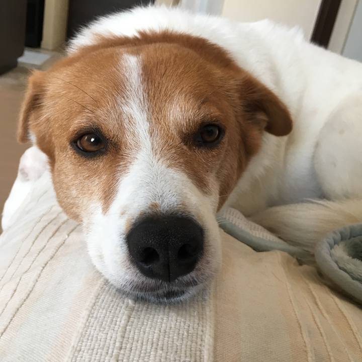 E6373d11 5972 498d 9251 9a290a8db3d1