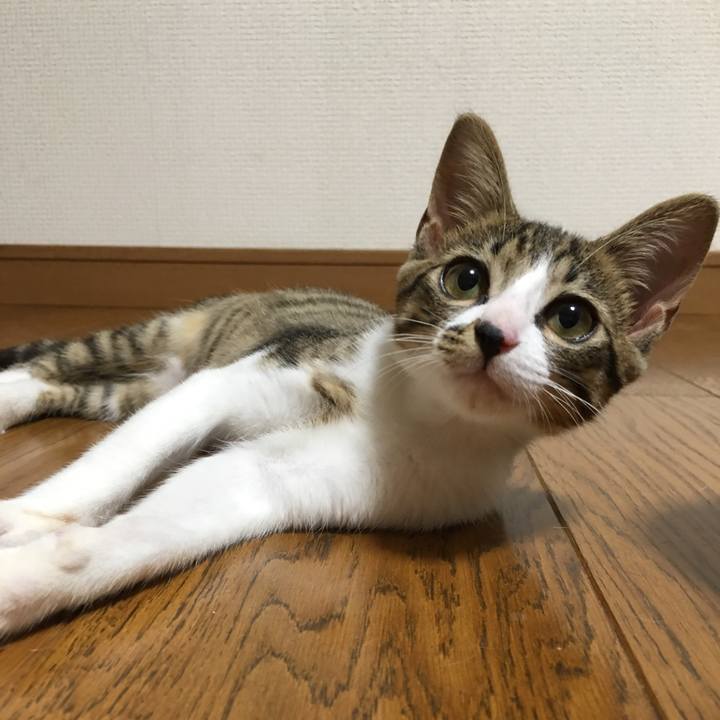 E63749ca a038 4c59 b8fb 1121ea7d631f